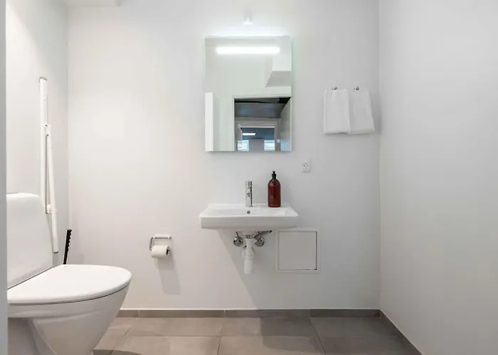 Spacious Double-apartment For 10 In Cph Center Kodaň