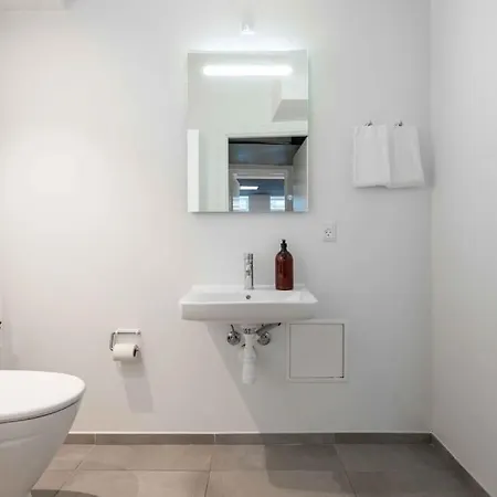 Spacious Double-apartment For 10 In Cph Center Kodaň